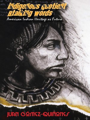 cover image of Indigenous Quotient